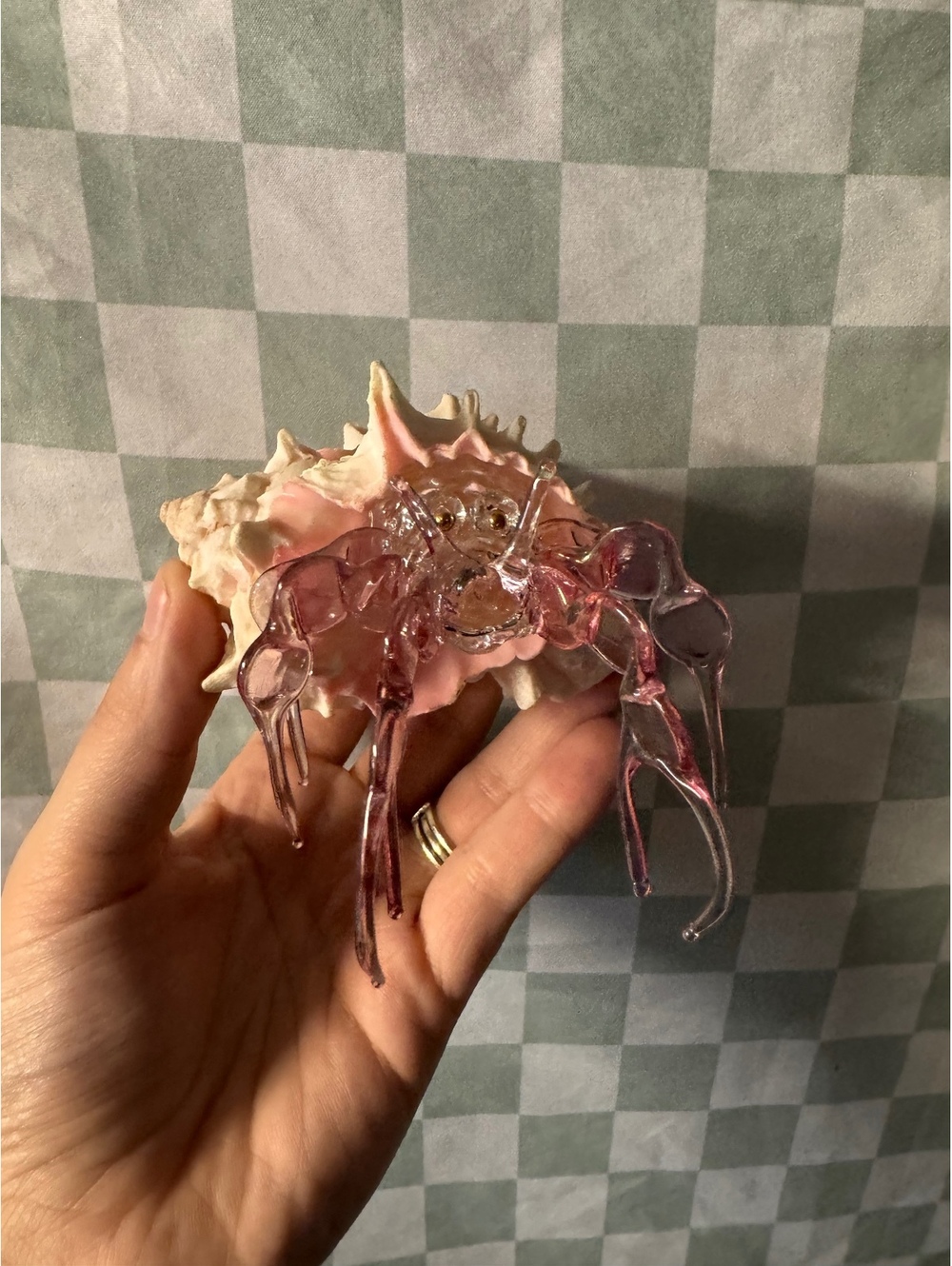 Decorative Glass Hermit Crab on Natural Seashell